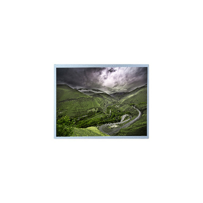 좋은 가격 B084SN03 V2 800*600 8.4 인치 LVDS 262K LCD 산업용 화면 온라인으로