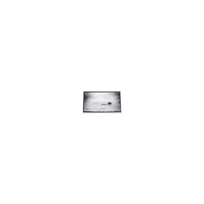 좋은 가격 프로젝터용 640*480 3.5인치 PD035VX1 262K LCD 화면 온라인으로