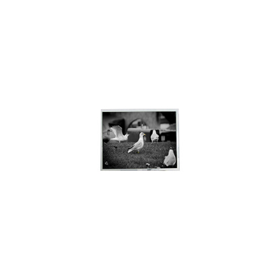 좋은 가격 PD064VT2 6.4 인치 640*480 150 cd/m2 LCD 패널 화면 온라인으로