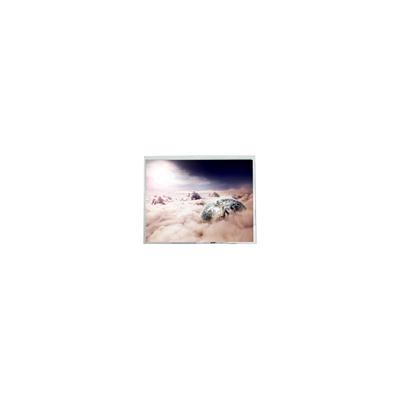 좋은 가격 새 PD064VX1 6.4인치 640*480 60Hz 60핀 LCD 화면 온라인으로