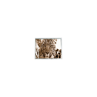 좋은 가격 PM070WM2 7.0 인치 800*480 휴대용 DVD 플레이어용 LCD 화면 온라인으로