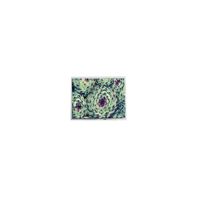 좋은 가격 새로운 320*240 AG-320240A4STQW-TX3H (N) (R) 5.7 인치 1S6P WLED LCD 화면 온라인으로