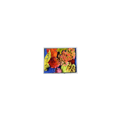 좋은 가격 800*600 AM-80060K3TMQW-02H 10.4 인치 LVDS LCD 화면 온라인으로