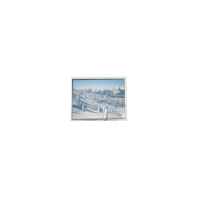 좋은 가격 AM-320240NTMCW-T00H-A(R) 5.7인치 320*240 터치 LCD 화면 온라인으로