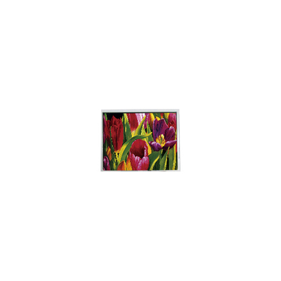 좋은 가격 AM-800480LATMQW-TN0H-L 800*480 5.0 인치 3S6P WLED LCD 패널 온라인으로