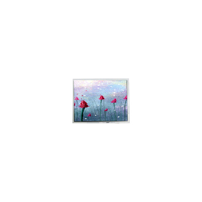 좋은 가격 AM-800480LTMQW-TW1H 5.0 인치 800*480 터치 LCD 패널 디스플레이 화면 온라인으로