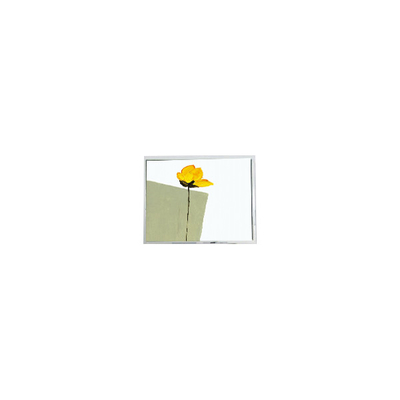 좋은 가격 새로운 800*480 AM-800480N3TZQW-00H 자동차 디스플레이용 5.0인치 LCD 패널 온라인으로