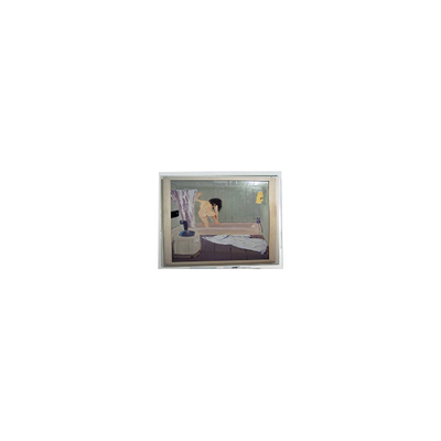 좋은 가격 800*480 5.0인치 AM-800480NATZQW-00H LCD 화면 패널 디스플레이 온라인으로