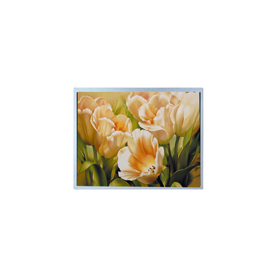좋은 가격 9.0 인치 1024*600 AM-1024600Y2TZQW-A0H TFT 1200 cd/m2 LCD 화면 패널 온라인으로