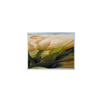 좋은 가격 AM-1024600YTZQW-00H 1024*600 9.0인치 TFT 500 cd/m2 LCD 화면 패널 온라인으로