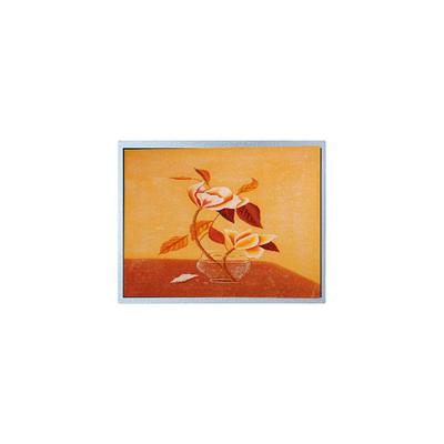 좋은 가격 새로운 15.0 인치 AM-1024768Q2TMQW-00H TFT LCD 스크린 산업용 온라인으로