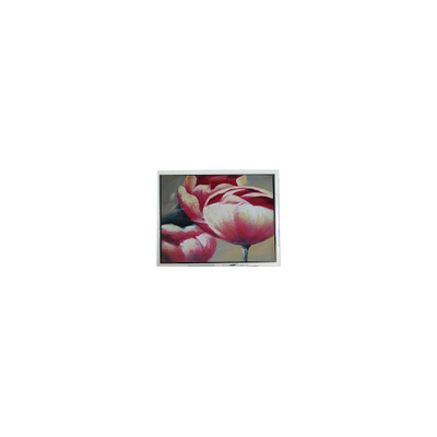 좋은 가격 원본 240*64 DMF5010NF-FW-BE 5.2인치 70Hz LCD 패널 온라인으로