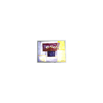 좋은 가격 DMF50260NF-FW-15 9.4인치 640*480 15핀 LCD 화면 부품 온라인으로