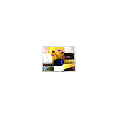 좋은 가격 핫 판매 9.4 인치 DMF50260NF-FW-18 640*480 15 핀 LCD 화면 온라인으로