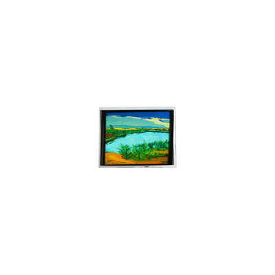 좋은 가격 DMF-50316NF-FW-1 240*64 5.2인치 130 cd/m2 LCD 화면 온라인으로