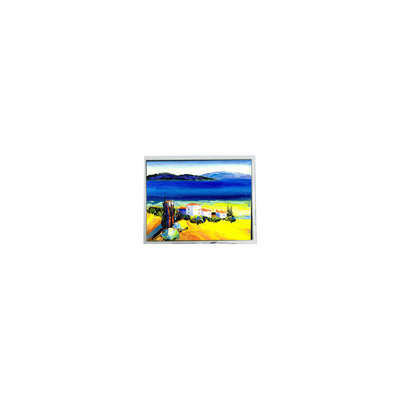 좋은 가격 뜨거운 판매 5.4 인치 DMF50773NF-FW 240 * 128 22 핀 LCD 화면 온라인으로