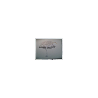 좋은 가격 9.4인치 DMF-51043NFU-FW 640*480 LCD 화면 패널 온라인으로