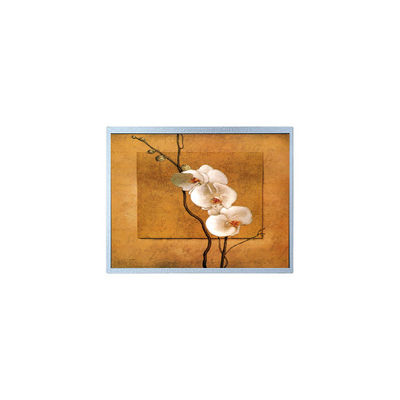 좋은 가격 240*64 5.2인치 F-51851GNFQJ-LY-ADN 85Hz LCD 디스플레이 패널 모듈 온라인으로