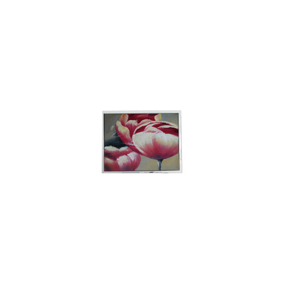 좋은 가격 새 T-55548GD057JU-LW-AAN 5.7 인치 262K LCD 화면 부품 온라인으로