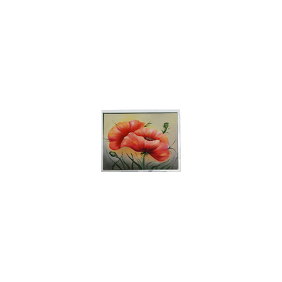 좋은 가격 T-55548GD057JU-LW-ACN 5.7 인치 터치 LCD 화면 패널 온라인으로