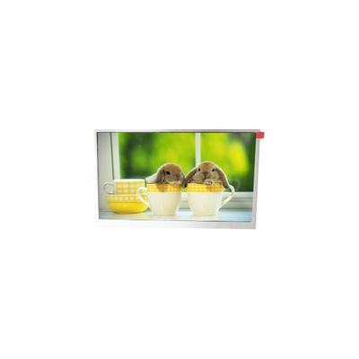 좋은 가격 TM090RDSG06 9.0 인치 800*480 WLED LCD 화면 모니터 온라인으로