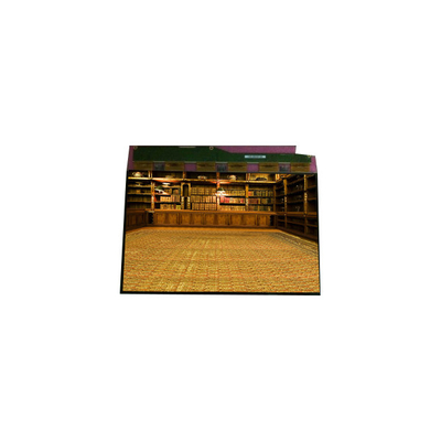 좋은 가격 뜨거운 판매 1600*1200 TM201XDHP01 20.1 인치 LVDS LCD 디스플레이 온라인으로