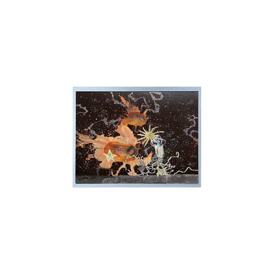 좋은 가격 12.1인치 P1210WXF1MA00 1280*800 WLED TFT LCD 패널 온라인으로