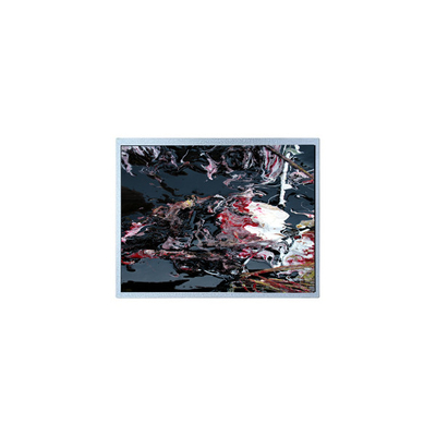 좋은 가격 P1210WXF1MA01 12.1인치 LVDS TFT LCD 패널 모듈 온라인으로