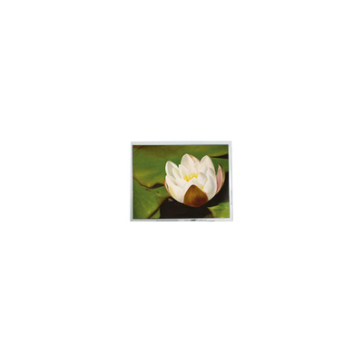 좋은 가격 70.0인치 800*480 ET0700A7DMU 262K 450 cd/m2 LCD 화면 부품 온라인으로