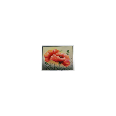 좋은 가격 새로운 7.0 인치 ETM070001BDHA 800*480 PCAP LCD 화면 모듈 온라인으로