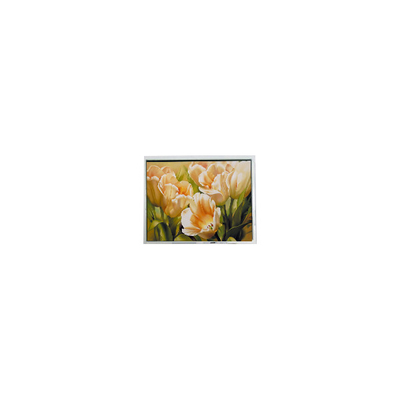 좋은 가격 뜨거운 판매 5.0 인치 COM50T5117GTC 320*240 67 핀 LCD 화면 온라인으로