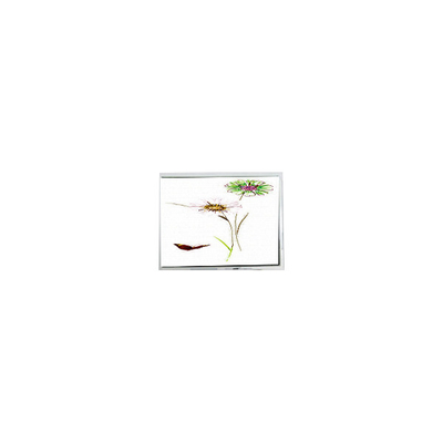 좋은 가격 COM (97) 5282 (CNS) 산업용 LCD 디스플레이 온라인으로