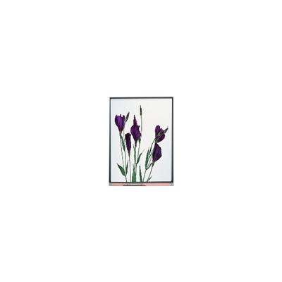 좋은 가격 프로젝터용 고품질 5.8인치 C058GWW1-0 LCD 디스플레이 화면 온라인으로