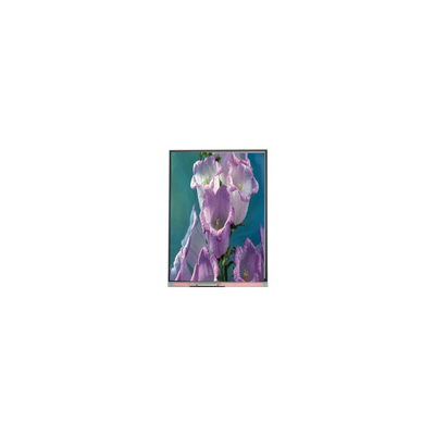 좋은 가격 70.0 인치 C070AWPE-0 800*480 TFT LCD 화면 LCD 패널 산업 온라인으로