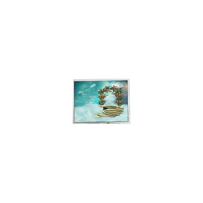 좋은 가격 TFT1N5918 6.9 인치 800*480 LVDS LCD 화면 모니터 온라인으로