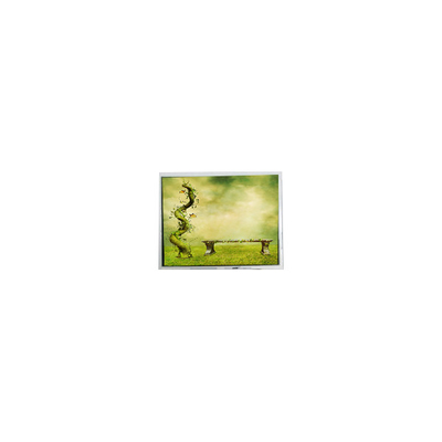 좋은 가격 원본 7.0 인치 TFT7D0179 600*1024 16.7M LCD 화면 lcd 디스플레이 온라인으로