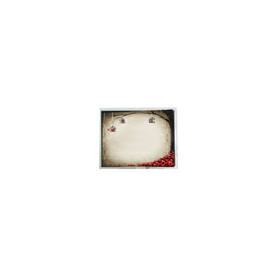 좋은 가격 TFT9D6672 6.9인치 800*480 600:1 LCD 화면 모듈 부품 온라인으로