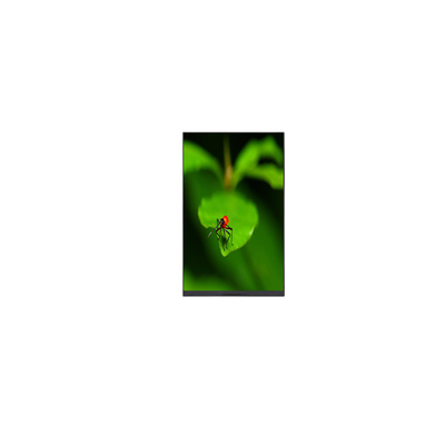좋은 가격 P080KDA-AF1 8.0 인치 1200*1920 415 cd/m2 LCD 패널 모니터 온라인으로