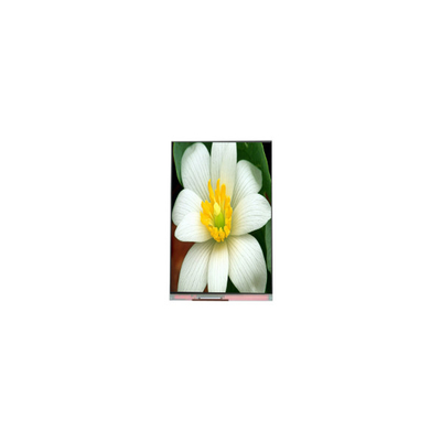 좋은 가격 PJ052IC-01C 5.2인치 1080*1920 LCD 화면 디스플레이 패널 온라인으로