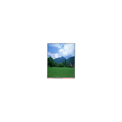 좋은 가격 PP057IC-01A 5.7인치 1080*1920 LCD 화면 LCD 패널 온라인으로