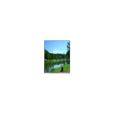 좋은 가격 PP059JC-01B 1080*2160 5.9인치 LCD 화면 새 온라인으로