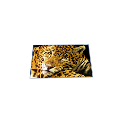 좋은 가격 P500QVF02.0 50.0인치 4K LCD 화면 온라인으로