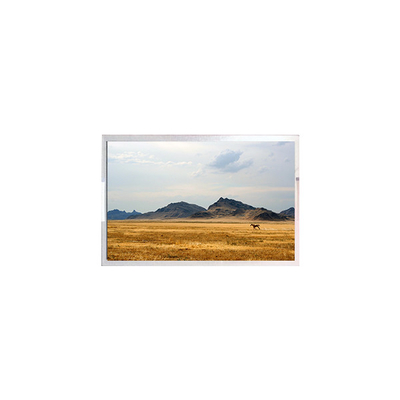 좋은 가격 TFT7D0906-A LCD 스크린 디스플레이 6.3 인치 LCD 모듈 패널 온라인으로