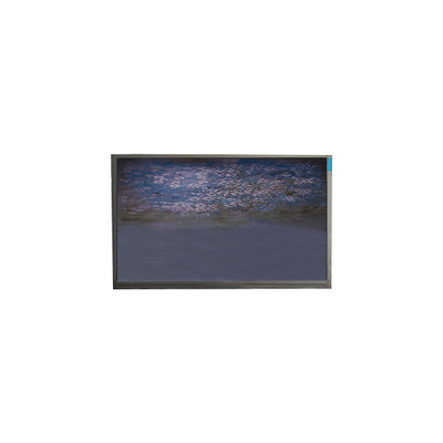 좋은 가격 U055SWRA-1 5.5인치 LCD 화면 패널 720*1440 LCD 디스플레이 모듈 온라인으로