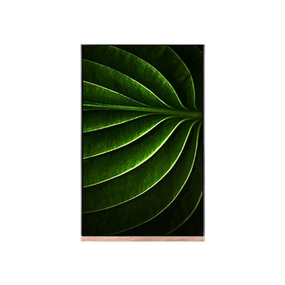 좋은 가격 LCD 화면 NV101WUM-N53 lcd 모듈용 10.1 인치 온라인으로