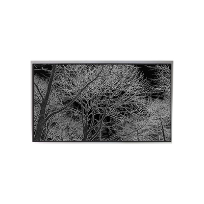 좋은 가격 6터치 스크린으로 휴대 전화용.2 인치 TA062VGHX01 LCD 디스플레이 모니터 온라인으로