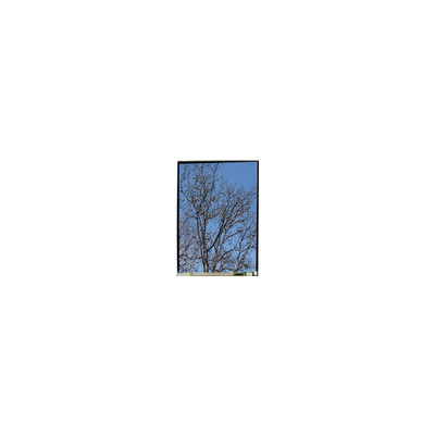 좋은 가격 5.5인치 LS055T1SX29 1080*1920 FHD LCD 디스플레이 패널 온라인으로