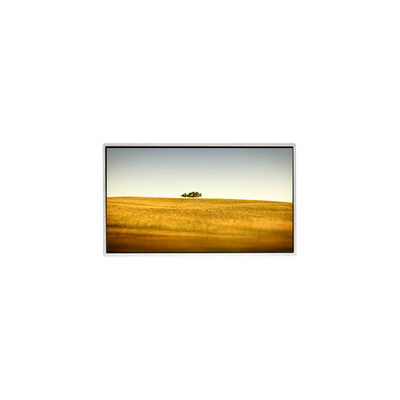 좋은 가격 핫 판매 10.1 인치 TT101WSQ-N10 1024 * 600 닛북 PC에 대한 LCD 디스플레이 화면 온라인으로