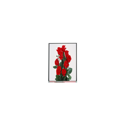 좋은 가격 새로운 6.2 인치 C062SWP1-1 800*480 LCD 디스플레이 온라인으로