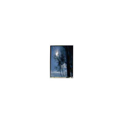 좋은 가격 LS055T1SX09 5.5인치 1080*1920 TFT-LCD LCD 화면 온라인으로